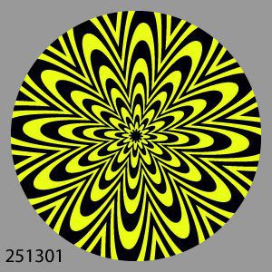 251301 Ultimate Dizziness 12