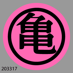203317-Dragon-Ball-Z-Roshi-Training